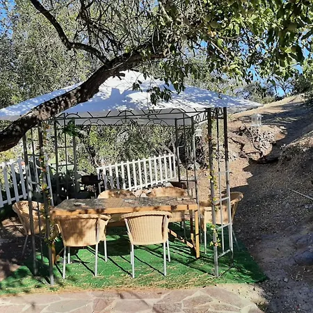 Semesterbostad La Cuevita De Hilario